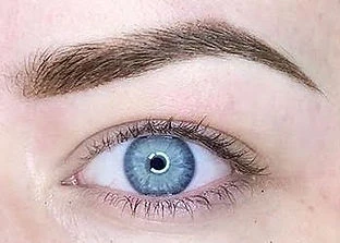 All-about-eyebrows.Dixon-n04.jpg