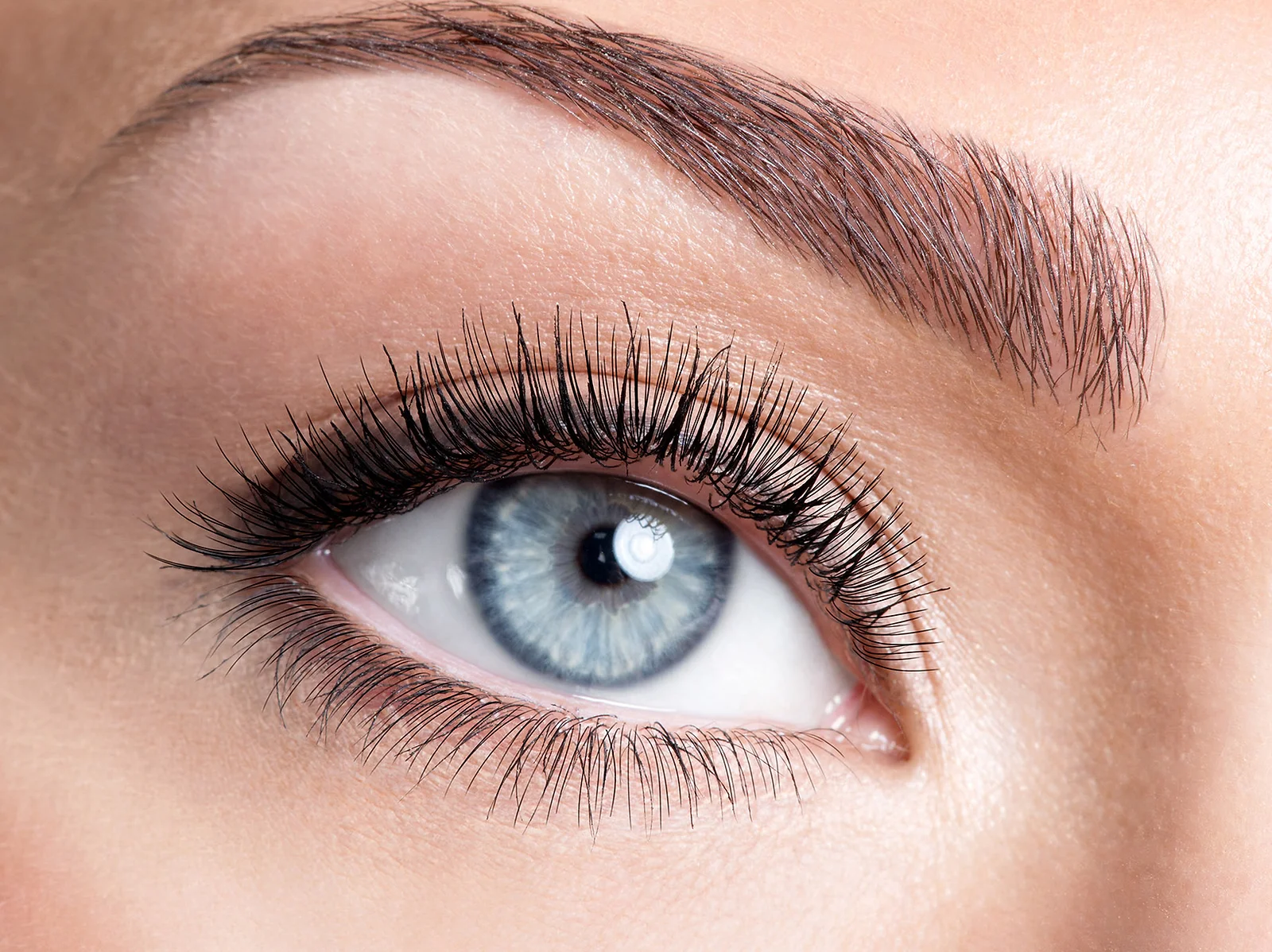 Ombre Brows