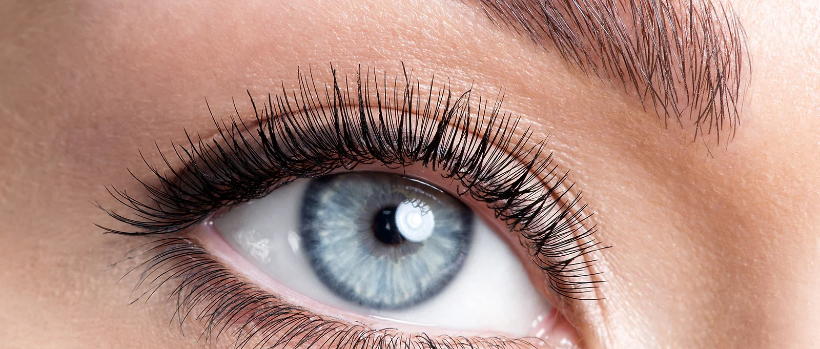 Ombre Brows