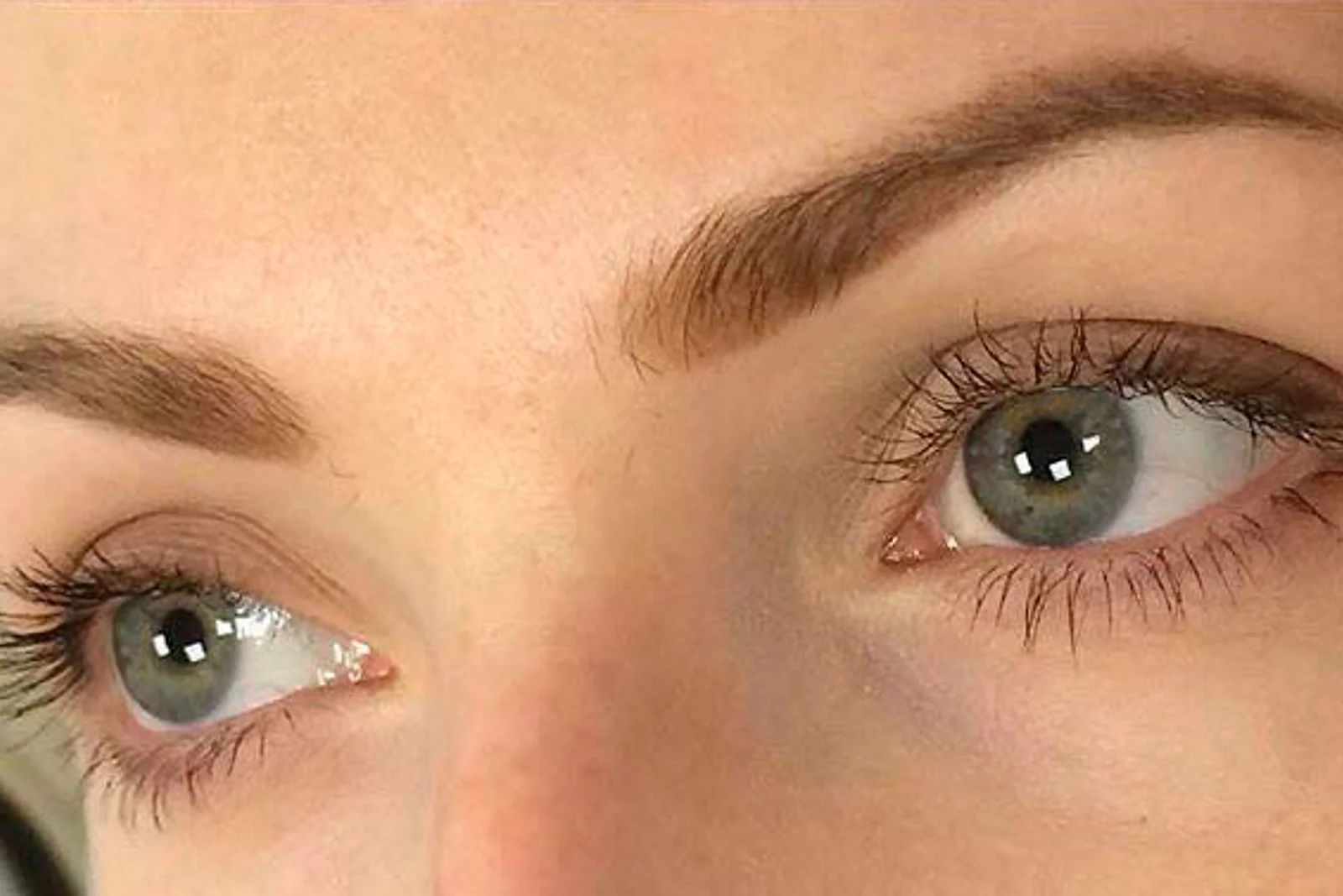 Soft Powder Brows