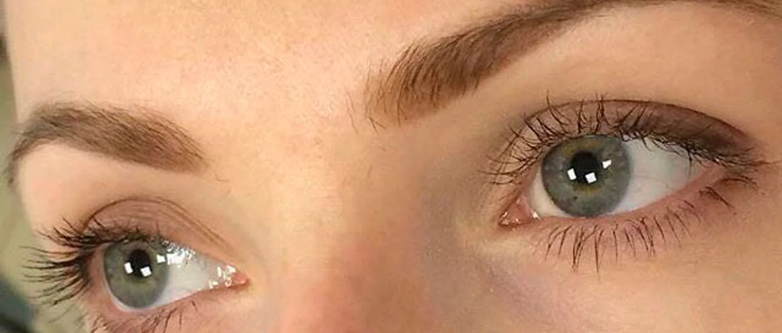 Soft Powder Brows
