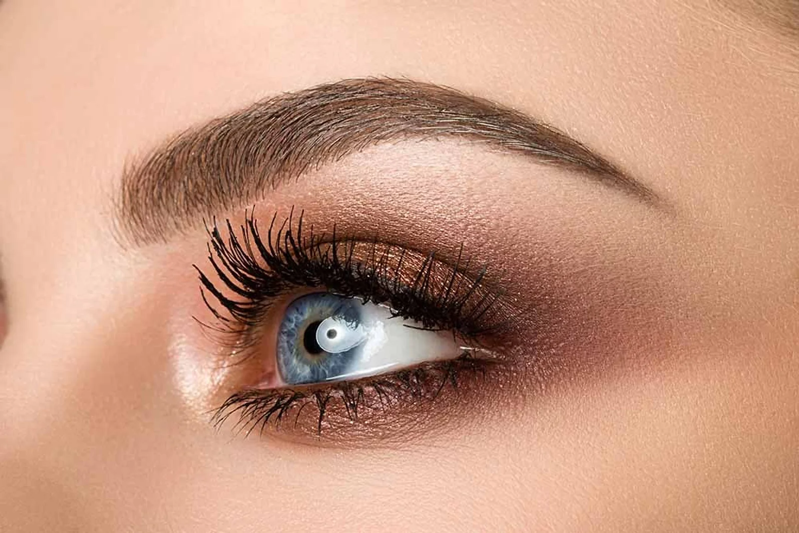 All About Eyebrows